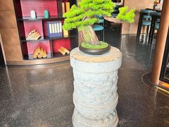 -映水芙蓉(上海万象城店)