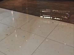 -巴黎春天(浦建店)