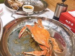 梭子蟹-必点海鲜·鲅鱼水饺(鞍山西道店)