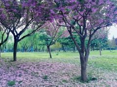 -洨河生态公园
