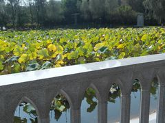 -长春世界雕塑园冰雪艺术天地