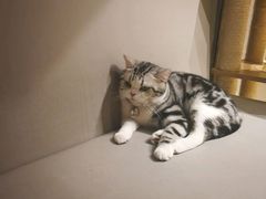 -小时光咖啡馆(开森度假森林店)
