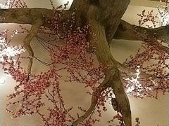 -汤沐邑温泉会馆