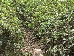 -敬亭山风景名胜区