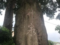 -东天目山风景区