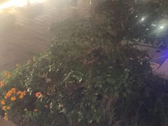 -西江印象酒楼