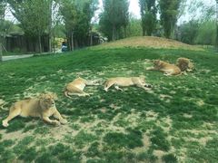 -北京野生动物园