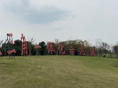 -中加枫华国际学校