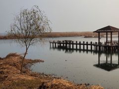 -太湖湖滨国家湿地公园-停车场