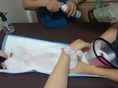 -芭比堂宠物医院·全科爱猫医院·仁德分院