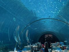 -海棠湾洲际-涛·海底餐厅·美人鱼·自助餐·海底隧道