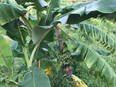 -泉州海丝野生动物世界