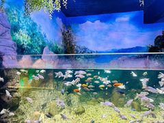 -常州海昌海洋探索馆