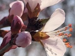 -滨河世纪广场公园