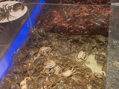 -鼎香缘海鲜自助火锅烤肉(锦辉购物广场店)
