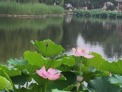 -西海子公园