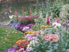 -上海共青森林公园