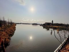 -三垟湿地