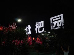 -枇杷园食为鲜火锅(南山店)