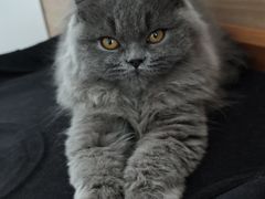 -佑安动物医院·全科·内窥镜中心(幸福巷店)