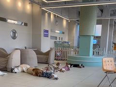 -怪兽屋·羊驼·猫咖·狗咖(俊华广场店)