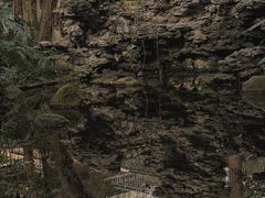 -广州兰圃