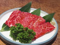 上等牛小排-炼火烤肉店