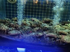 -福禧荟·海鲜自助