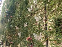 -华谊兄弟（长沙）电影小镇