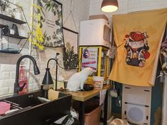-平行世界·猫咖(首经贸店)