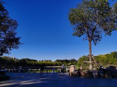 -塘沽森林公园