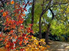 -元大都城垣遗址公园