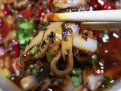 -降龙爪爪(建设路1店)