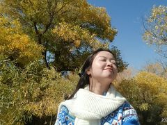 -金塔沙漠胡杨林景区