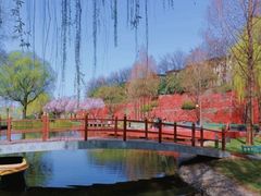 -西安曲江寒窑遗址公园