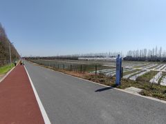 -上海长兴岛郊野公园