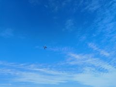 -空港花田景区