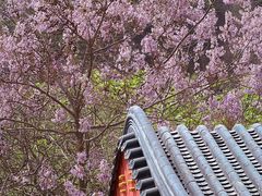 -京东石林峡风景区