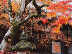-常寂光寺
