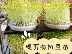 -洪氏嗨捞·广东猪肚鸡·椰子鸡火锅(西咸万象城店)