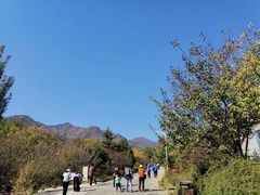 -北京鹫峰国家森林公园