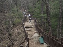 -王顺山国家森林公园