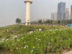 -武昌江滩