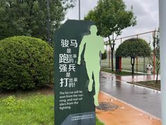 -山东鲁能乒乓球学校