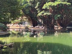 -九龙公园
