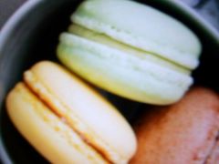 -金三角花鸟鱼综合市场-地面停车场