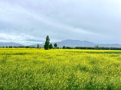 -扁都口生态休闲旅游区