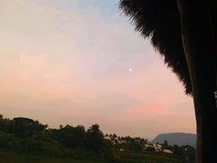 -乌托邦酒吧和餐厅