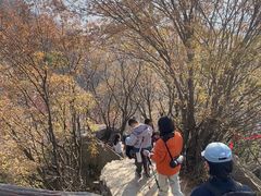 -秦岭终南山世界地质公园翠华山景区
