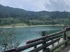 -武陵山森林公园
